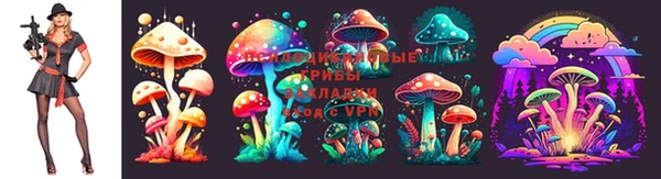 a pvp Вяземский
