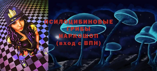 a pvp Вяземский