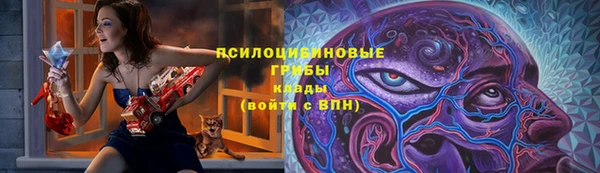 a pvp Вяземский